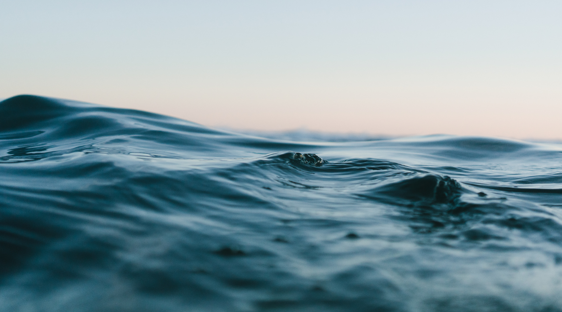 Pisces New Moon Ritual – The Ninth House