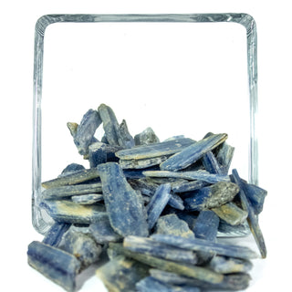Several dozen pieces of raw blue kyanite. Each piece is rectangular shaped and irregular. Shades of light blue. 