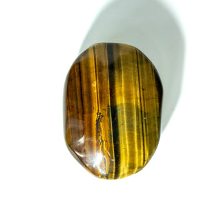 Close up of one tiger's eye palm stone in soap shape. Natural striping of golds and browns.