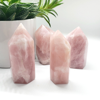 Four different sized rose quartz generators showing natural variation in color with a plant in the background.