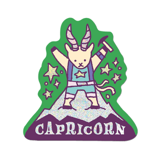 Cozy Cute Zodiac Vinyl Stickers for Astrology Lovers and Gifts