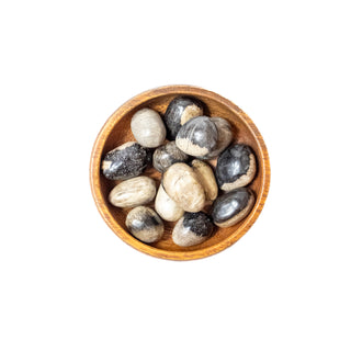 Petrified Pine Wood | Tumbled