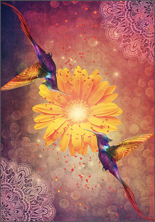 Hummingbird Wisdom Oracle Cards by Ellen Valladares Illustrated by Yasmeen Westwood for Joy and Intuitive Guidance