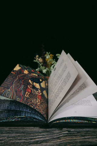 The Big Visions Book | Prisma Visions and Cosma Visions Guide