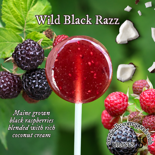 Plants & Planets Lollipops