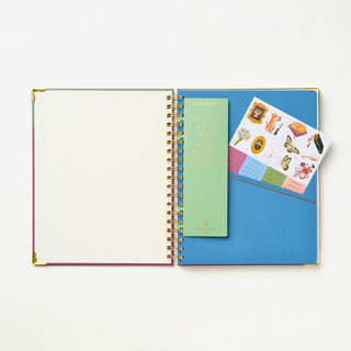2027 Sneaky Cat Bookshelf 17-Month Large Spiral Planner
