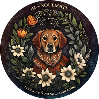 Arcana Folia Oracle Deck by Nora Paskaleva Nature Oracle Cards for Intuition and Grounding