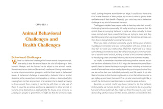 Animal Intuition: Communicating with Pets, Spirits & Energy by Thea Strom