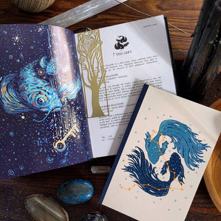 The Big Visions Book | Prisma Visions and Cosma Visions Guide