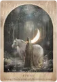 Daughters of the Aether: Prism and Fleur by Paige McLeod