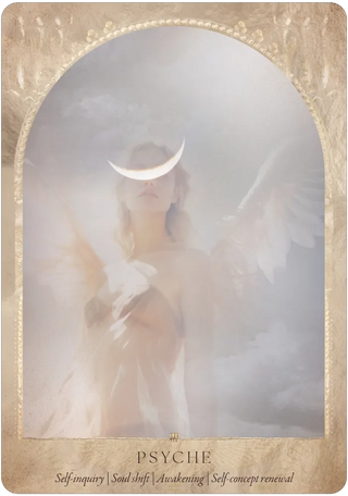 Daughters of the Aether: Prism and Fleur by Paige McLeod
