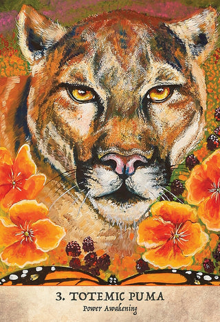 Earth Warriors Oracle Deck