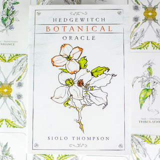 Box of the Hedgewitch Botanical Oracle is white with a simple drawing of flowers on the front. Other cards from the deck surround it. 
