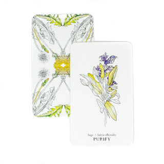 The Purify Card of the Hedgewitch Botanical Oracle shows a drawing of a leafy plant with purple flowers. A second card in the background shows the back of the cards with dandelions reaching in toward the center.