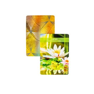 The Lotus Resurrection card from the Messages from the Spirits of Nature oracle deck shows a white lotus flower in water. A second card behind it shows the back of the deck, with orange leaves.