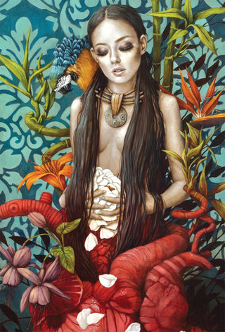 Medicine Heart Oracle by Alana Fairchild Shamanic Divine Feminine Oracle Deck
