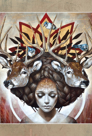 Medicine Heart Oracle by Alana Fairchild Shamanic Divine Feminine Oracle Deck