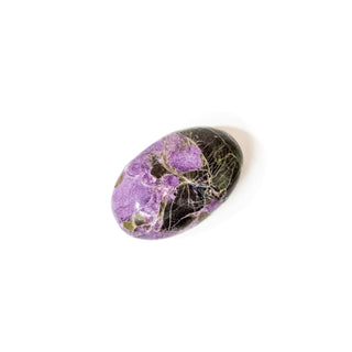 Atlantisite | Palm Stone