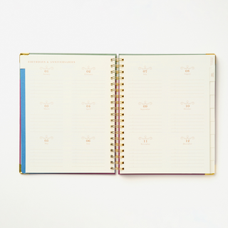 2027 Sneaky Cat Bookshelf 17-Month Large Spiral Planner