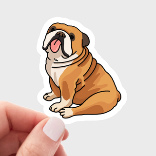 English Bulldog Vinyl Sticker