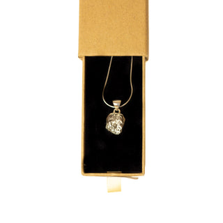 Campo del Cielo Meteorite Pendant with Sterling Silver Chain