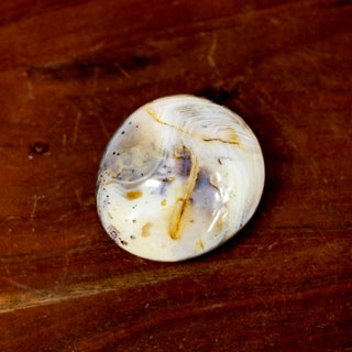 Dendritic Agate | Palm Stone