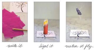 Peacock Flying Wish Paper Kit