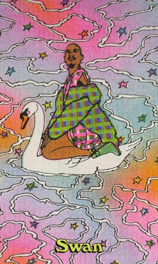 Queer Animal Oracle by Ashley Molesso & Chess Needham | Inclusive Oracle Deck & Guidebook