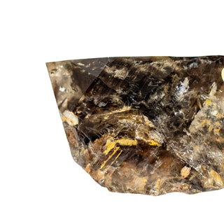 Enhydro Smoky Quartz | Specimen DG01