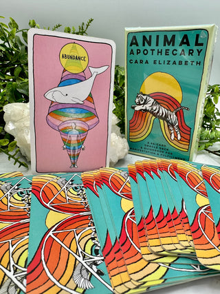 The box of the Animal Apothecary Oracle deck, with one featured image, a whale in a spiral with the word Abundance on it. Other cards are laid out in front showing the backs of the cards.