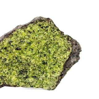 Natural Peridot on Basalt Matrix | Specimen DG25 and DG26