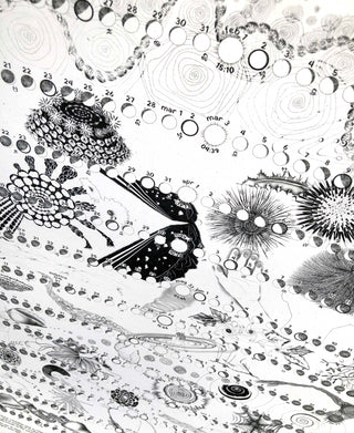 2026 Hand-Illustrated Lunar Tracker