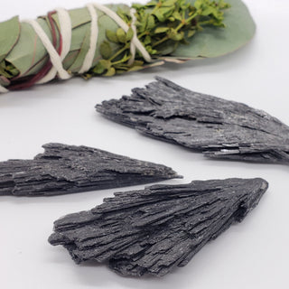 Three pieces of raw black kyanite in the "Witch's Broom" shape. There is an herbal bundle behind them on a white background.