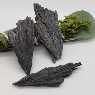 Three pieces of raw black kyanite in the "Witch's Broom" shape. There is an herbal bundle behind them on a white background.