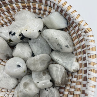 Several rainbow moonstone tumbled pocket stones. Mostly white with iridescent sheen with black spots. 