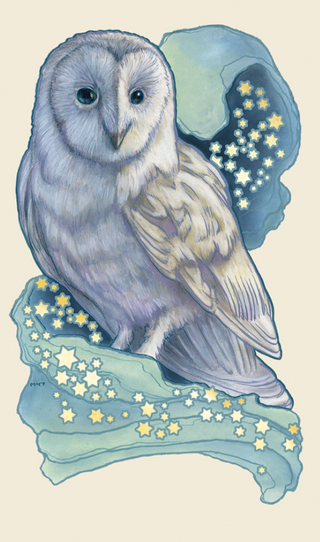 The Owl Card of the Dreamscape Oracle Deck shows a white owl with a starry blue moon behind it.