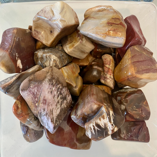 Several tumbled petrified wood pocket stones showing natural variations in color from browns to reds and greys. 