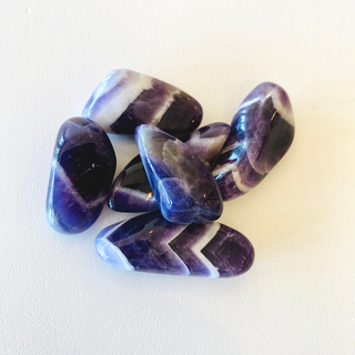 Close up of six chevron amethyst tumbled pocket stones. Stones are deep purple with white chevron striping against a white background.
