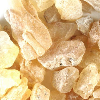 Close up of chunks of golden copal resin. 