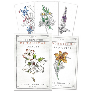 The guidebook of the Hedgewitch Botanical Oracle by Siolo Thompson and three cards from the deck with botanical imagery in simple color drawings. 