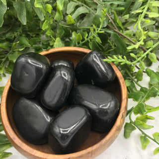 Shungite | Tumbled